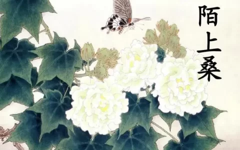 陌上桑原文翻译及赏析(精选3篇)