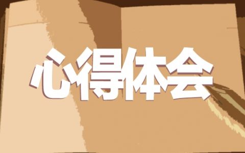 小学教师工作心得体会10篇