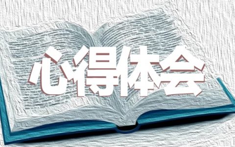 小学班主任心得感悟范文10篇