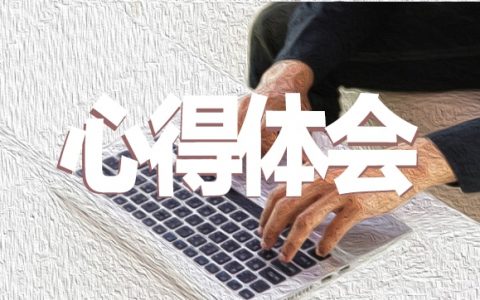 小学班主任工作心得体会