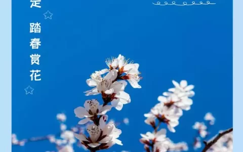 适合踏青赏春发的高级文案（踏青春游好词好句）