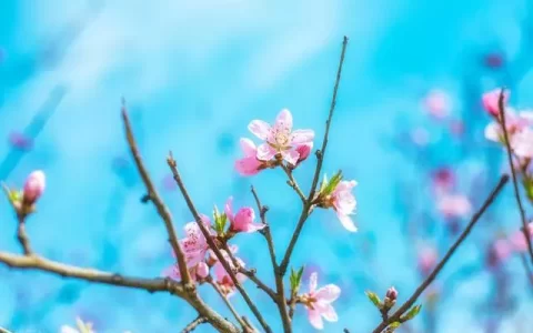 20句永不言弃的精选句子，句句充满了正能量