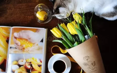 24条感悟人生经典句子，犀利透率，耐人寻味