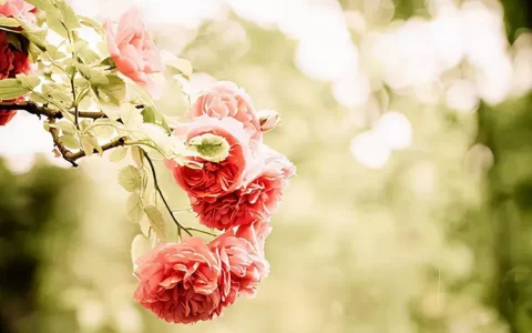 人生感悟格言励志语录经典短句（精选24句）