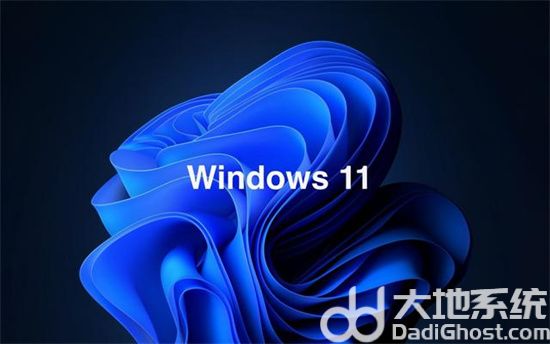 windows11有32位吗 windows11有没有32位