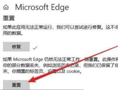 windows11自带浏览器打不开怎么办 windows11自带浏览器打不开解决方法