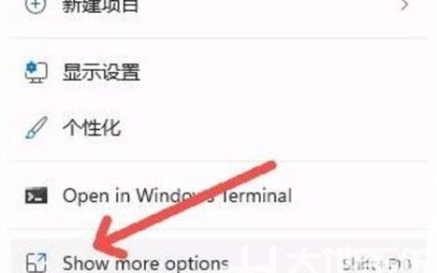 win11显示更多选项怎么设置 win11显示更多选项设置方法介绍