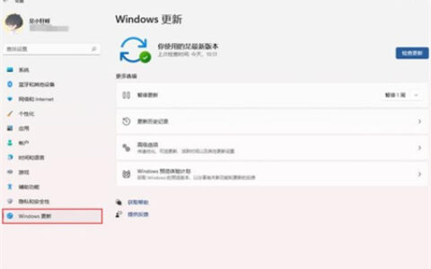 win11自动更新怎么关闭 win11自动更新怎么关闭方法介绍