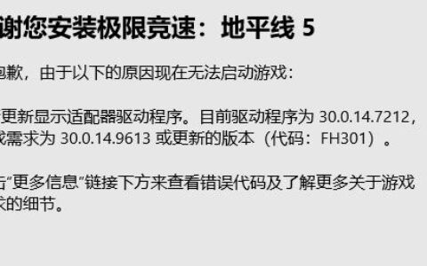 win11地平线5打不开怎么办 win11地平线5打不开解决方法