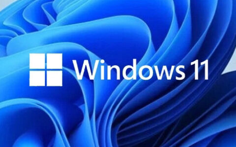 windows11家庭中文版评估副本水印怎么去除 windows11家庭中文版评估副本水印去除方法