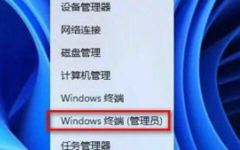 win11精简版怎么恢复应用商店 win11精简版应用商店恢复教程