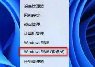 win11精简版怎么恢复应用商店 win11精简版应用商店恢复教程