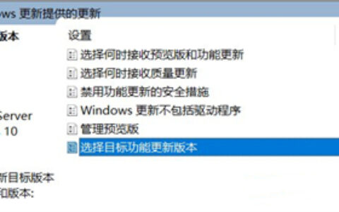 win10如何关闭自动更新win11 win10关闭自动更新win11方法介绍