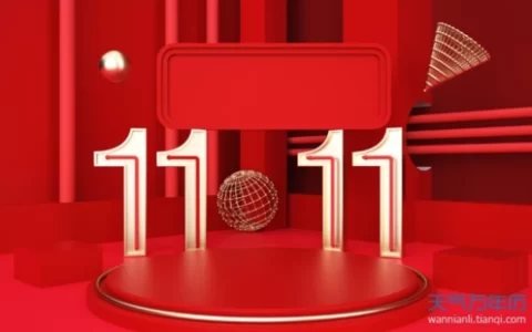 双十一1111活动策划方案(精选5篇)