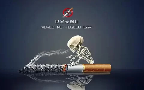 世界无烟日活动策划方案（精选6篇）