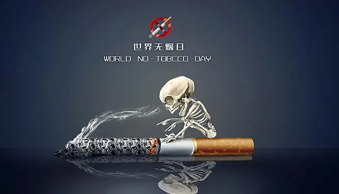 世界无烟日活动策划方案（精选6篇）