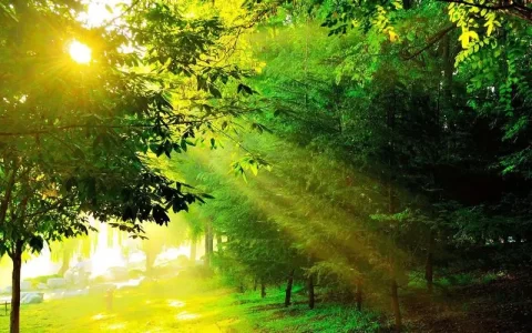 美文摘抄：名家散文经典美文分享