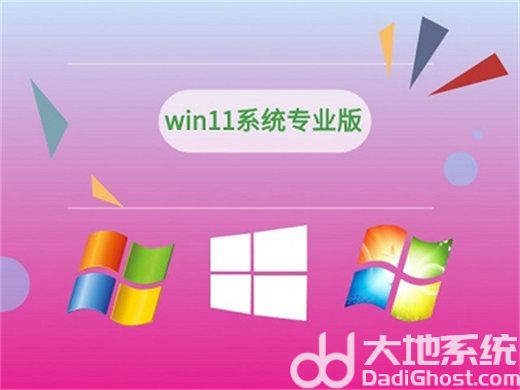 Win11家庭版和专业版有什么区别 win11家庭版和专业版的区别一览