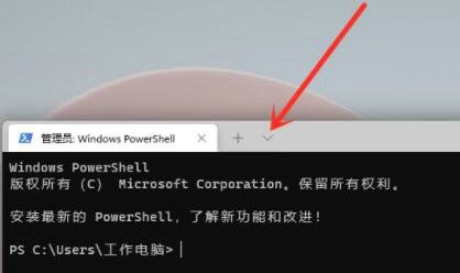 win11如何使用cmd命令打开系统设置 win11cmd命令打开系统设置操作步骤