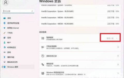 win11暂停更新点不了怎么办 win11暂停更新点不了解决办法