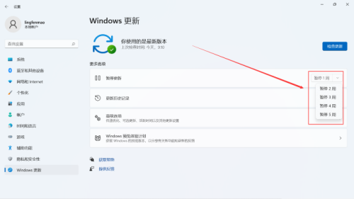 win11怎么关闭自动更新 win11关闭自动更新方法大全