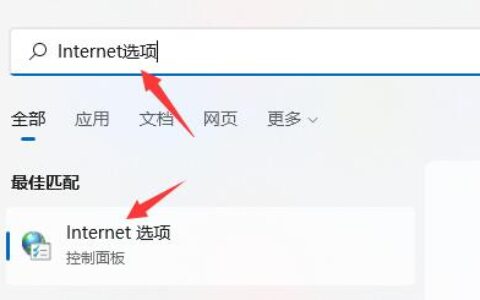 win11浏览器无法联网怎么办 win11浏览器无法联网解决教程