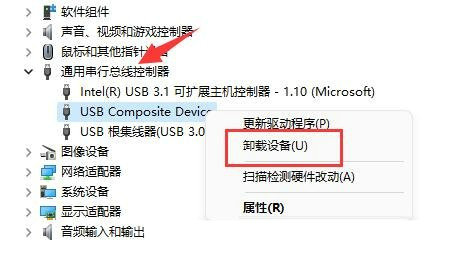 Win11移动硬盘不显示怎么办 Win11移动硬盘不显示解决办法分享