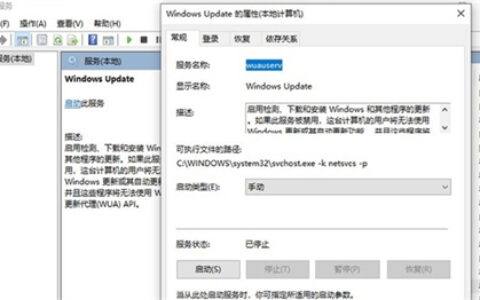 惠普windows11更新不了怎么办 惠普windows11更新不了解决方法