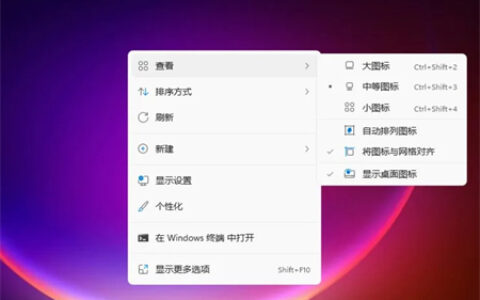 win11图标大小怎么调 win11图标大小怎么调方法介绍