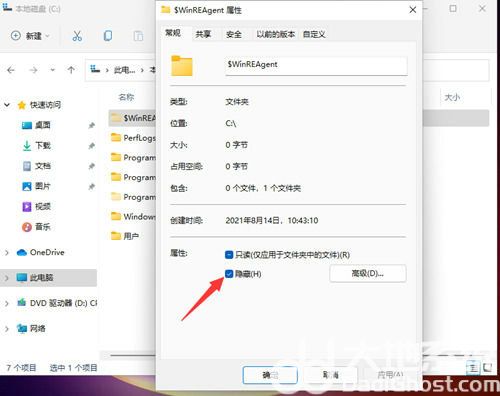 win11怎么查看隐藏文件夹 win11隐藏文件夹怎么显示出来