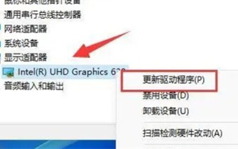 win11专业版分辨率只有两个怎么办 win11专业版分辨率只有两个解决方法