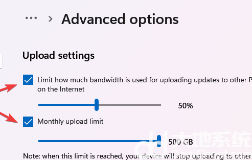 windows11网速慢怎么回事 windows11网速慢解决方法