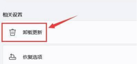 windows11黑屏启动不了怎么办 windows11黑屏启动不了解决方法