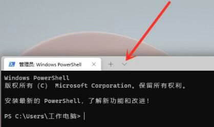 win11命令行窗口怎么打开 win11命令行窗口打开教程