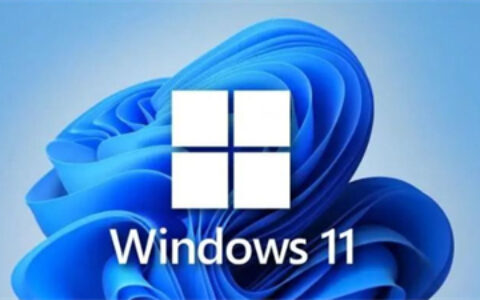 win11家庭版和专业版哪个好 win11家庭版和专业版对比