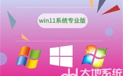 windows11专业版和家庭版的区别是什么 windows11专业版和家庭版的区别介绍