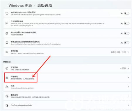 windows11如何打开传递优化功能 windows11打开传递优化功能方法介绍