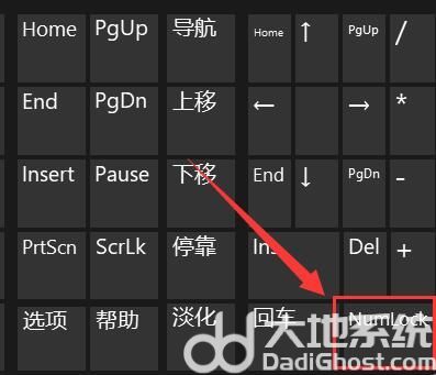 win11系统打不了字怎么办 win11系统打不了字解决办法