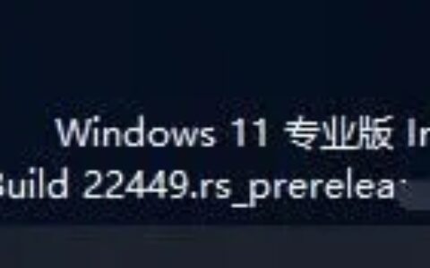 windows11评估副本怎么消除 windows11评估副本消除教程