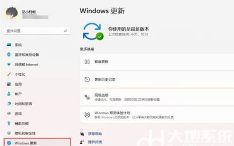 windows11如何关闭自动更新 windows11更新怎么永久关闭