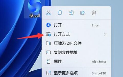 win11怎么打开pdf文件 win11pdf文件打开方法