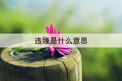 违缘是什么意思