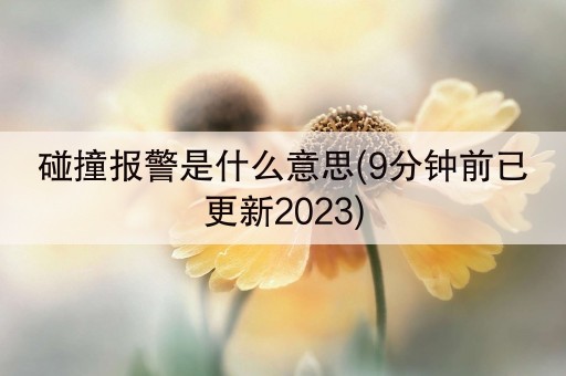 碰撞报警是什么意思(9分钟前已更新2023)