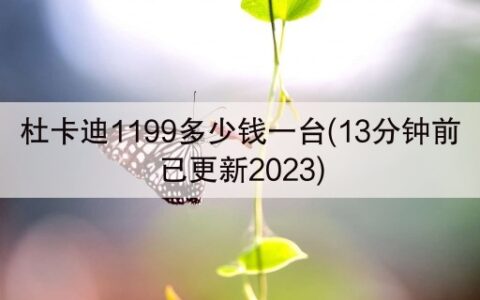 杜卡迪1199多少钱一台(13分钟前已更新2023)