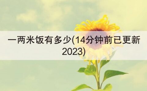 一两米饭有多少(14分钟前已更新2023)