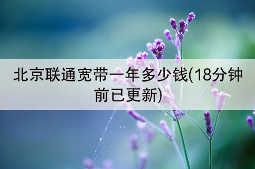 北京联通宽带一年多少钱(18分钟前已更新)