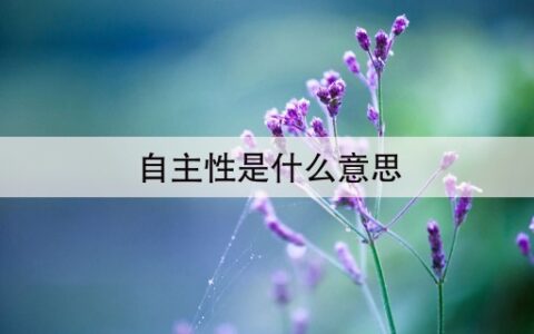 自主性是什么意思