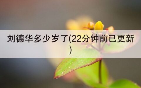 刘德华多少岁了(22分钟前已更新)