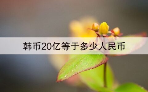 韩币20亿等于多少人民币