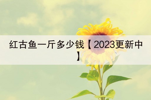 红古鱼一斤多少钱【2023更新中】
